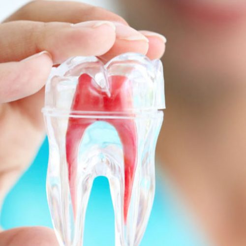 Endodontia