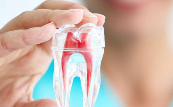 Endodontia Endodontia